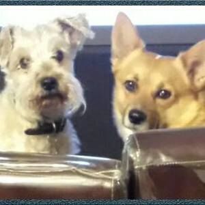 Meet your Posher, Denise